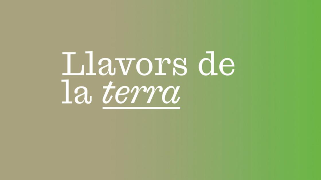 Concierto «Llavors de la Terra» en València 