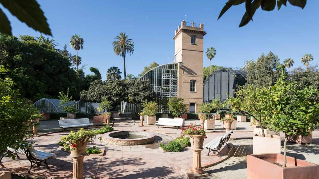 Ciclo «VoluntariJazz» en el Jardín Botánico de València