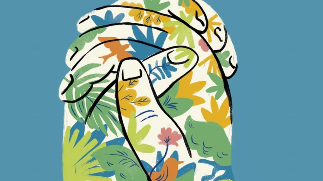 Ciclo «VoluntariJazz» en el Jardín Botánico de València