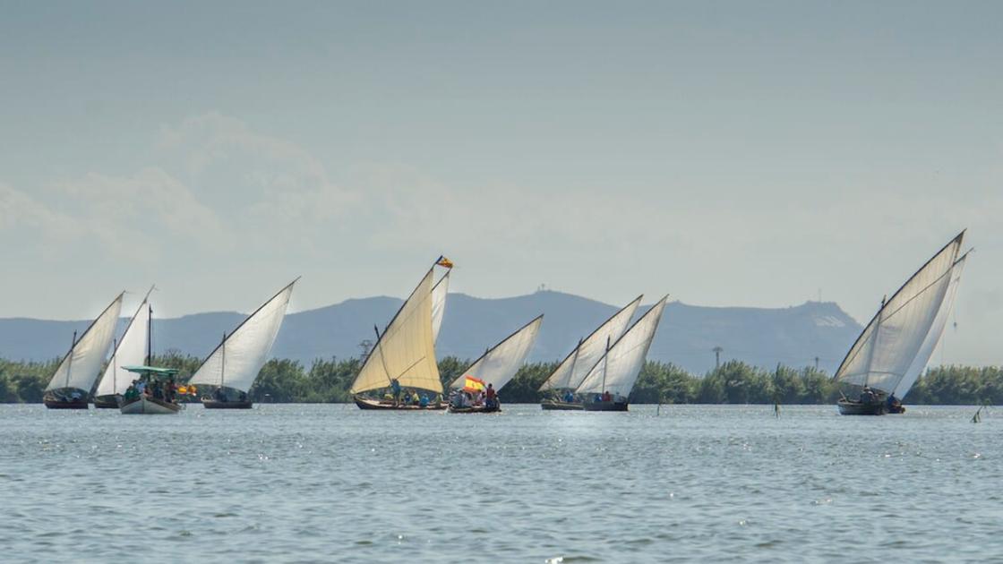 Exhibiciones de vela latina en l’Albufera de València 