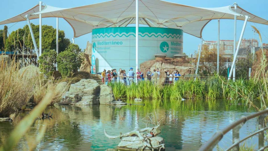 «Lago Vivo» en el Oceanogràfic de València  