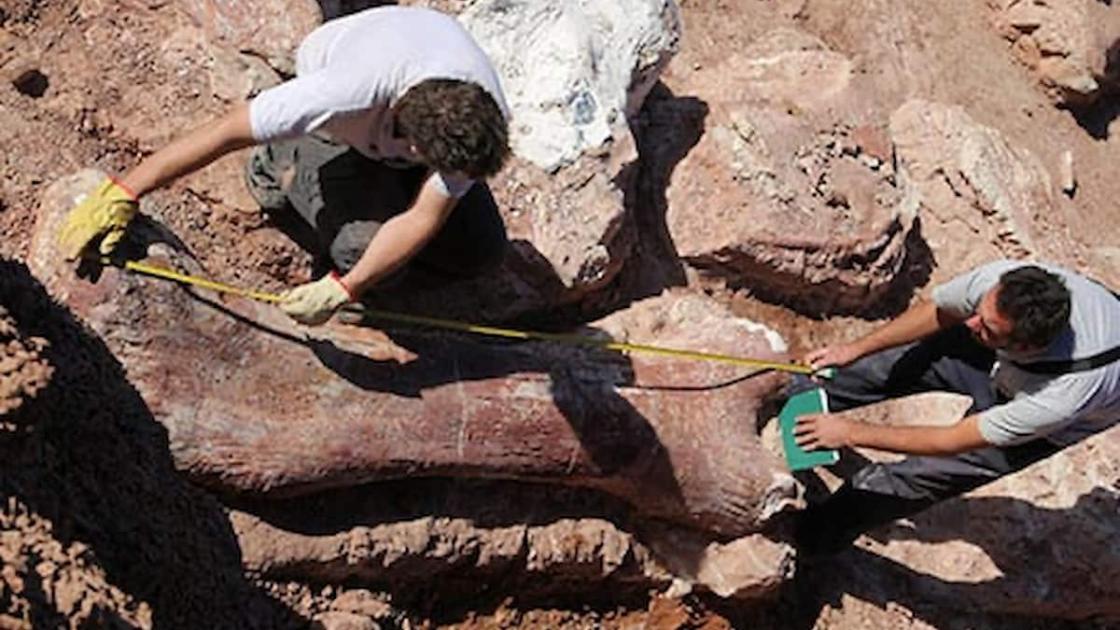 Exposición «Dinosaurios de la Patagonia» en València