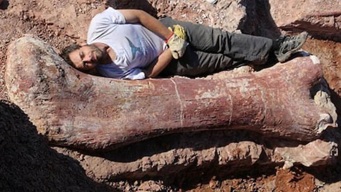Exposición «Dinosaurios de la Patagonia» en València