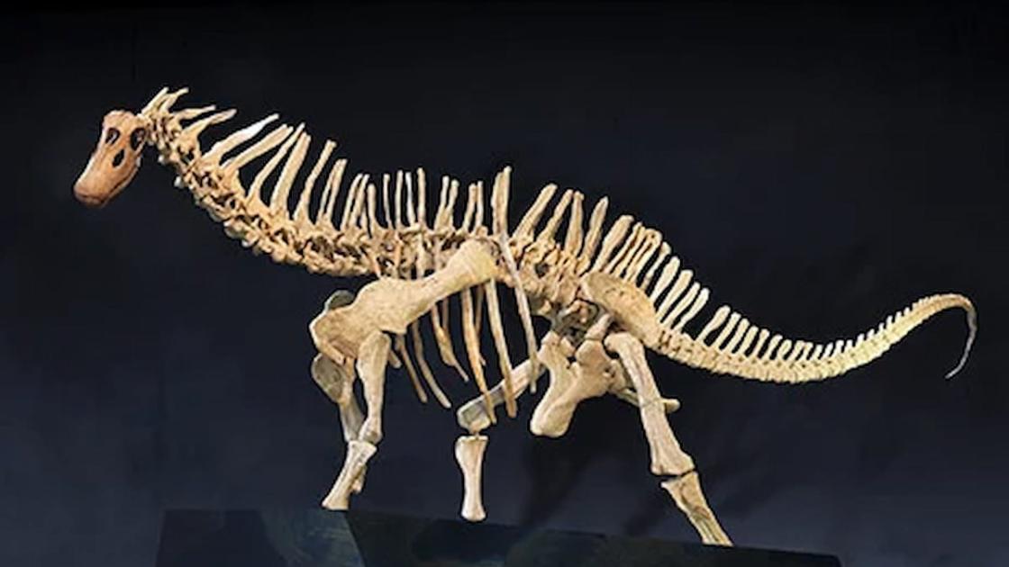 Exposición «Dinosaurios de la Patagonia» en València