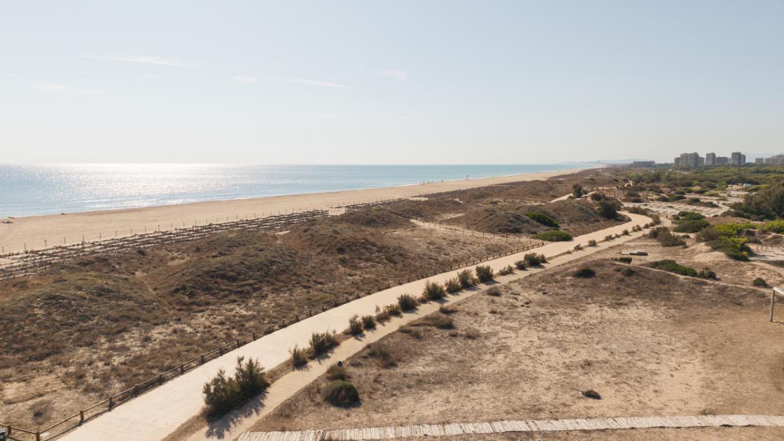La Devesa de EL Saler Valencia