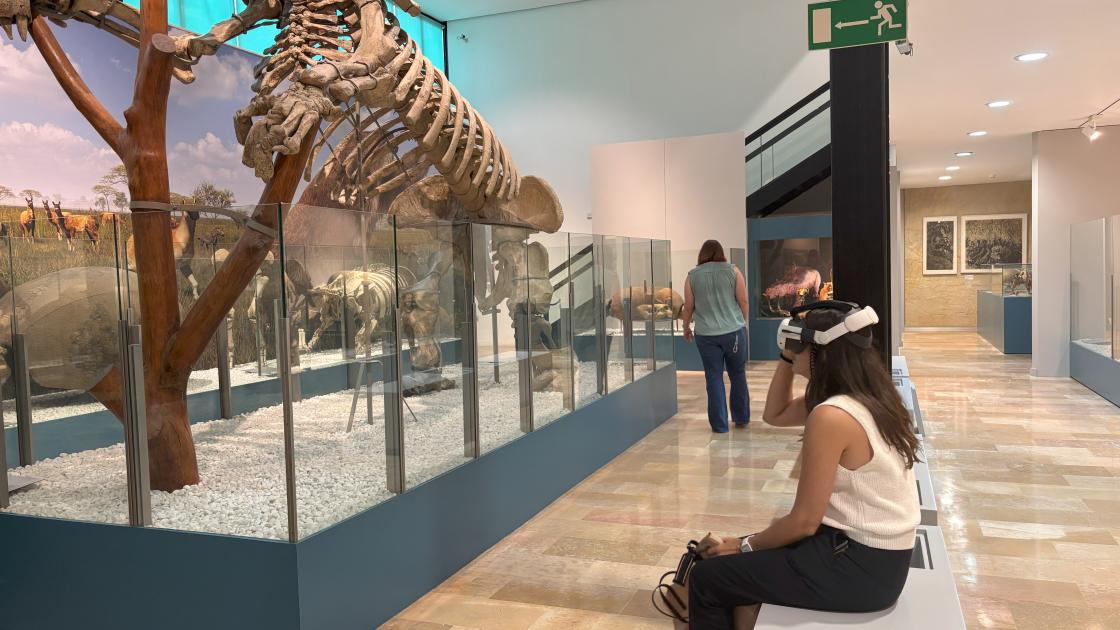 Museo El Panteologic