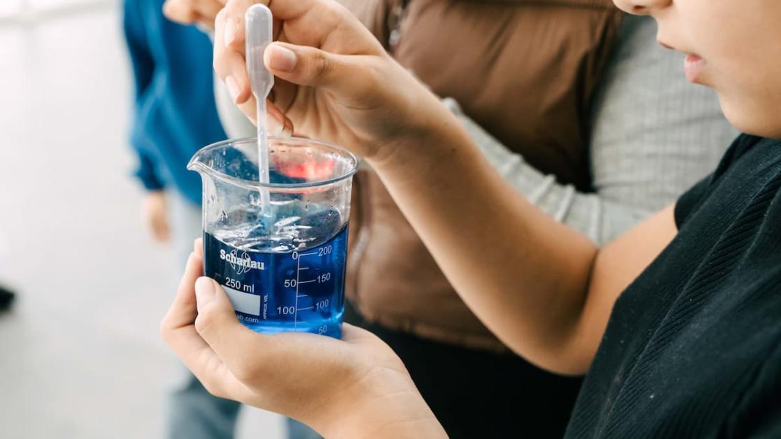 Disfruta de la Semana de la Ciencia en València 