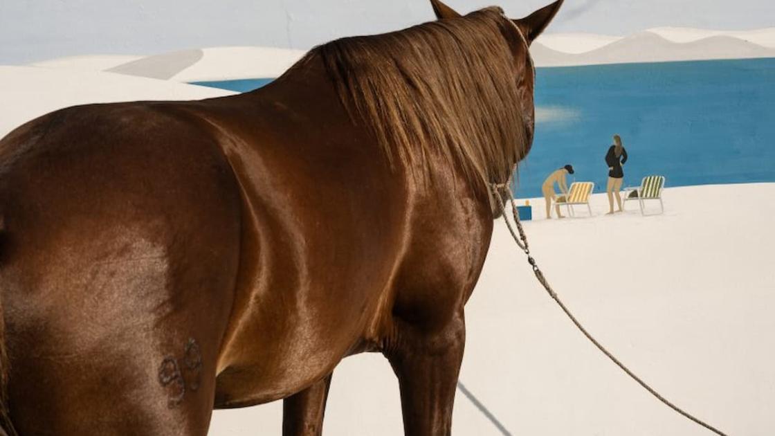 Exposición «Cristina de Middel. Apoteosis Now» en València