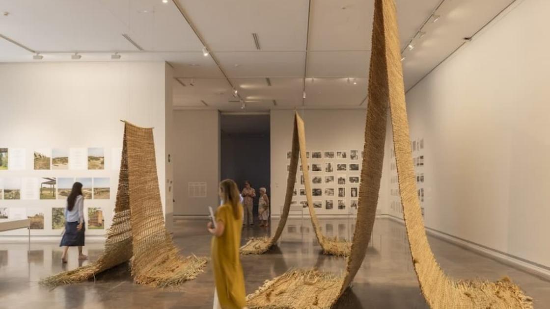 Exposición «La Albufera» en València