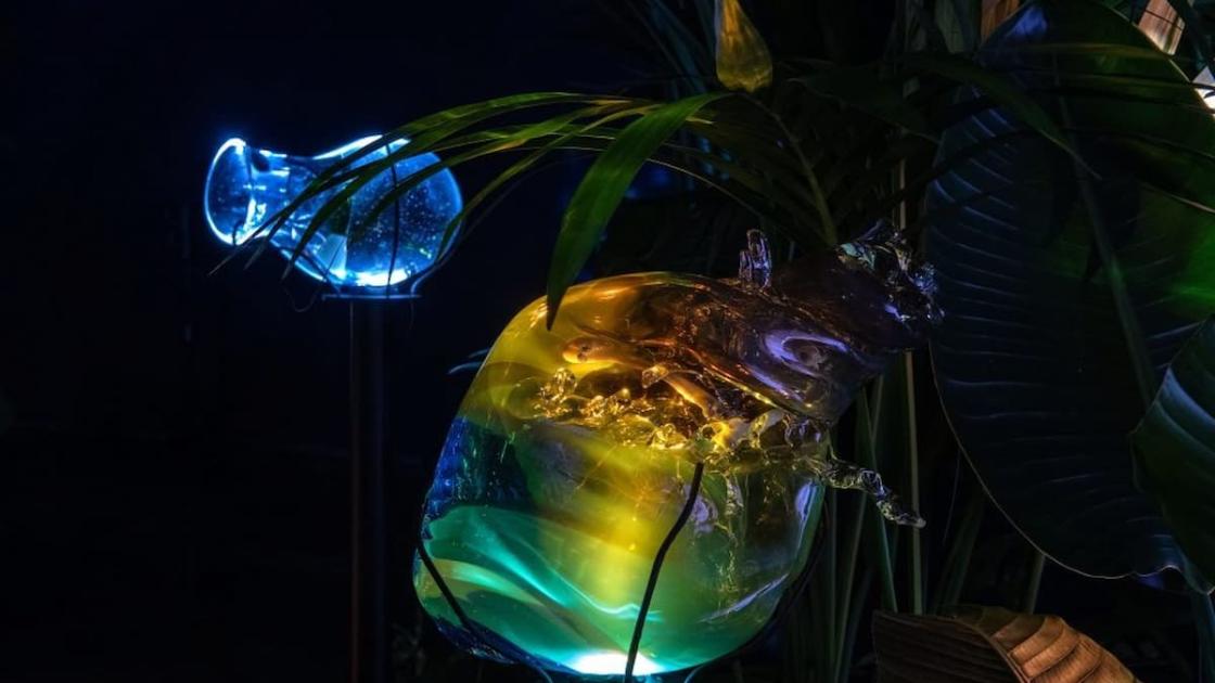 Exposición «Tania Candiani. Radix» en València