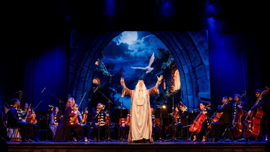 Espectáculo «Harry Sinfónico» en Roig Arena