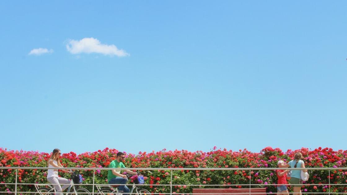 Puente de las flores