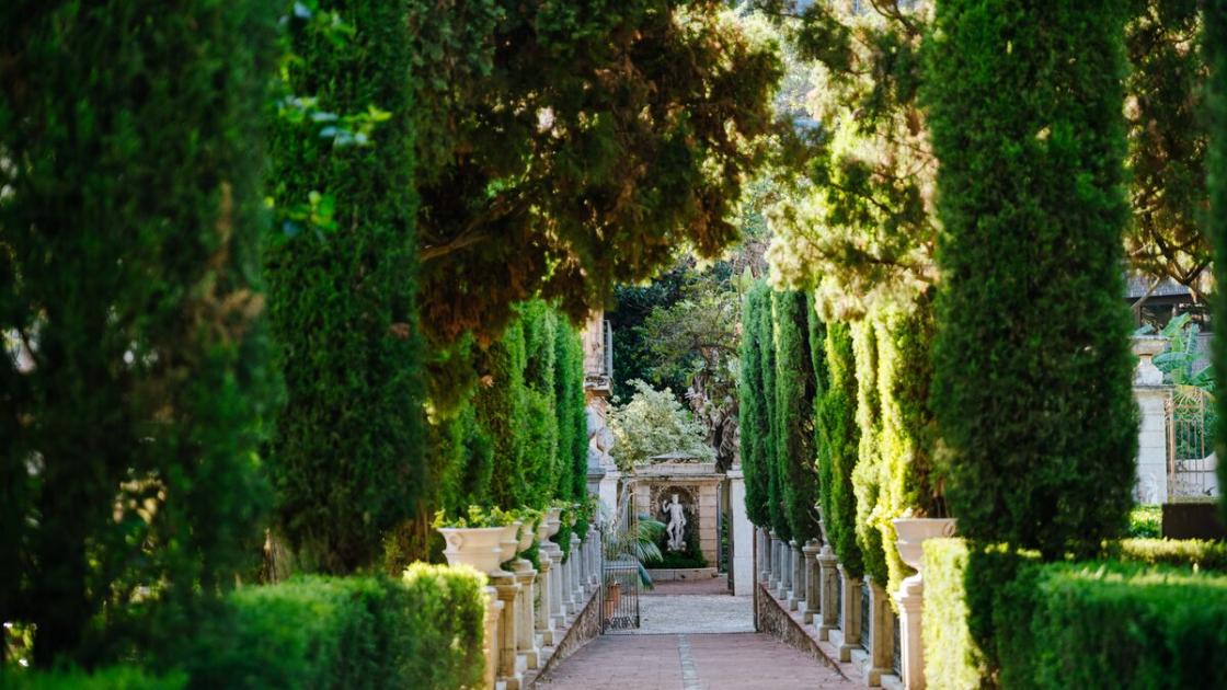 Jardines de Monforte