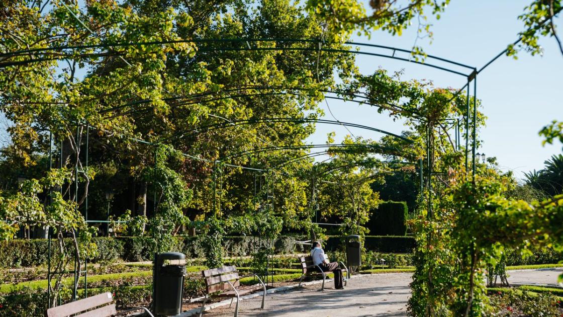 Paseo Jardín Viveros