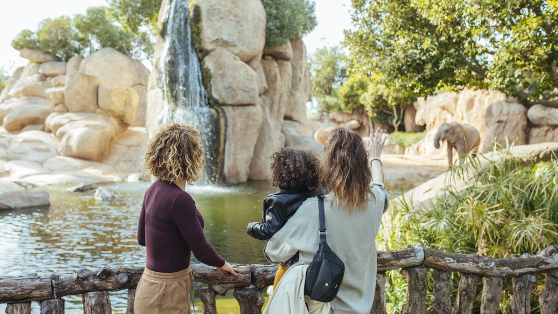 Bioparc Valencia
