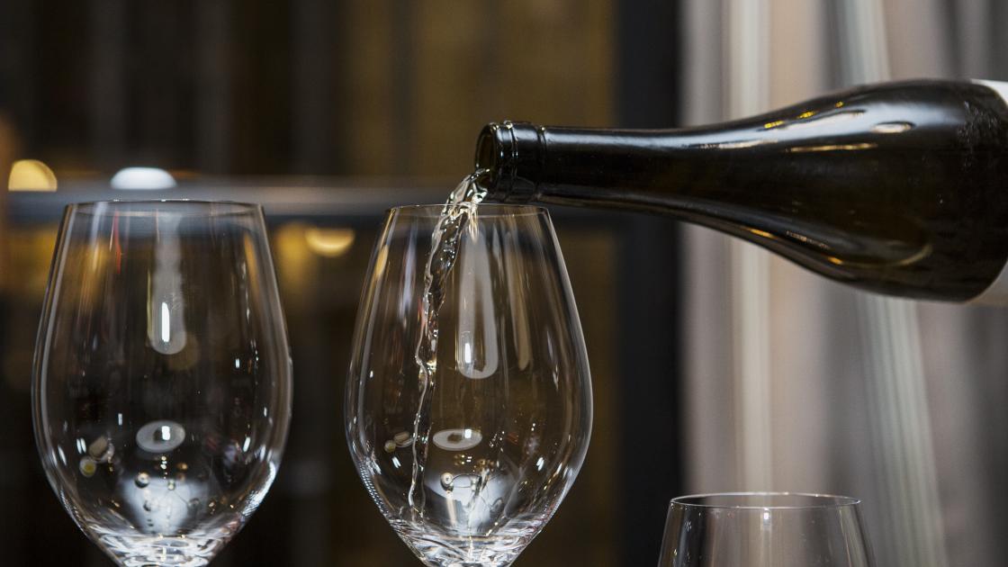 Cata vinos Valencia