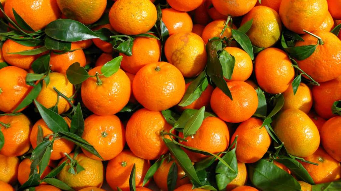 Mercafestes en los mercados municipales de València