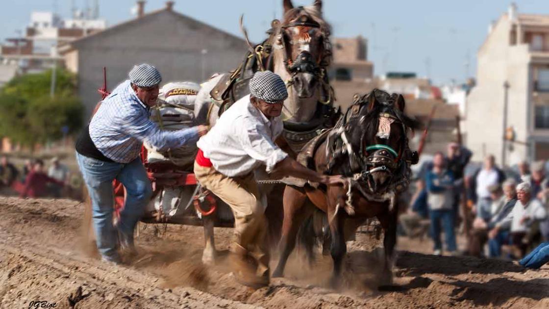 Concurso «Tir i Arrossegament» en València