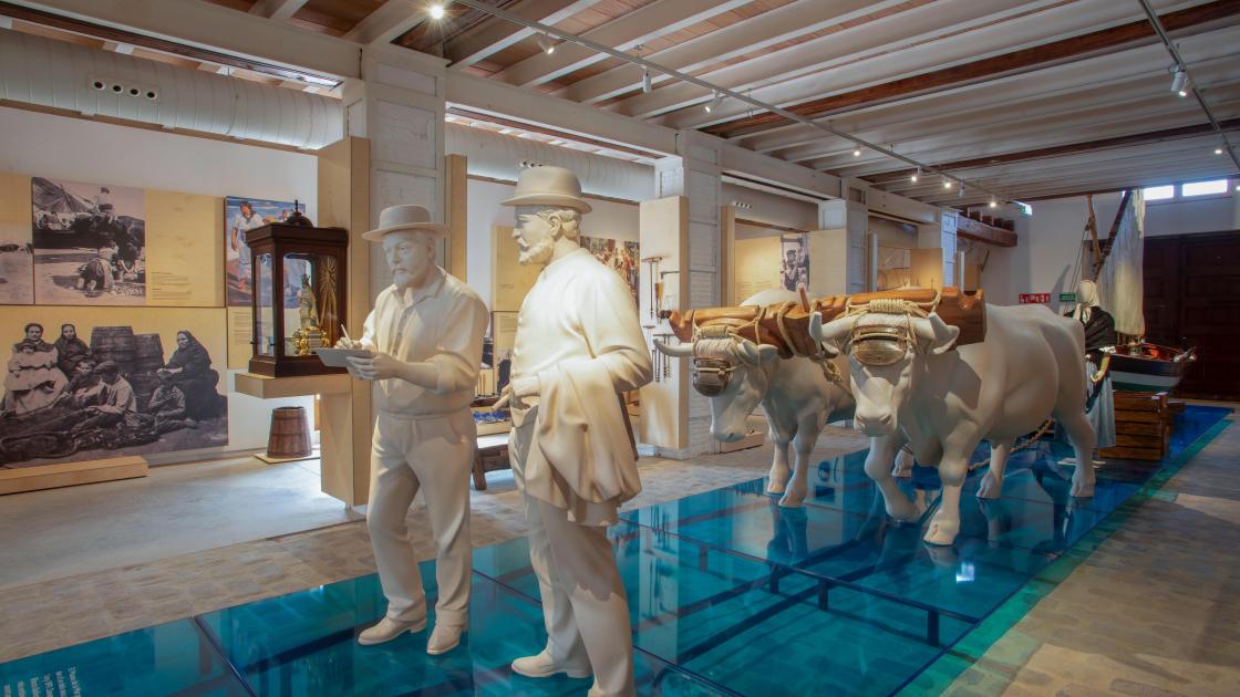 Museo de la mar