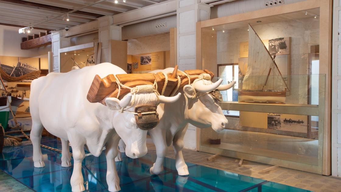 Museo de la mar