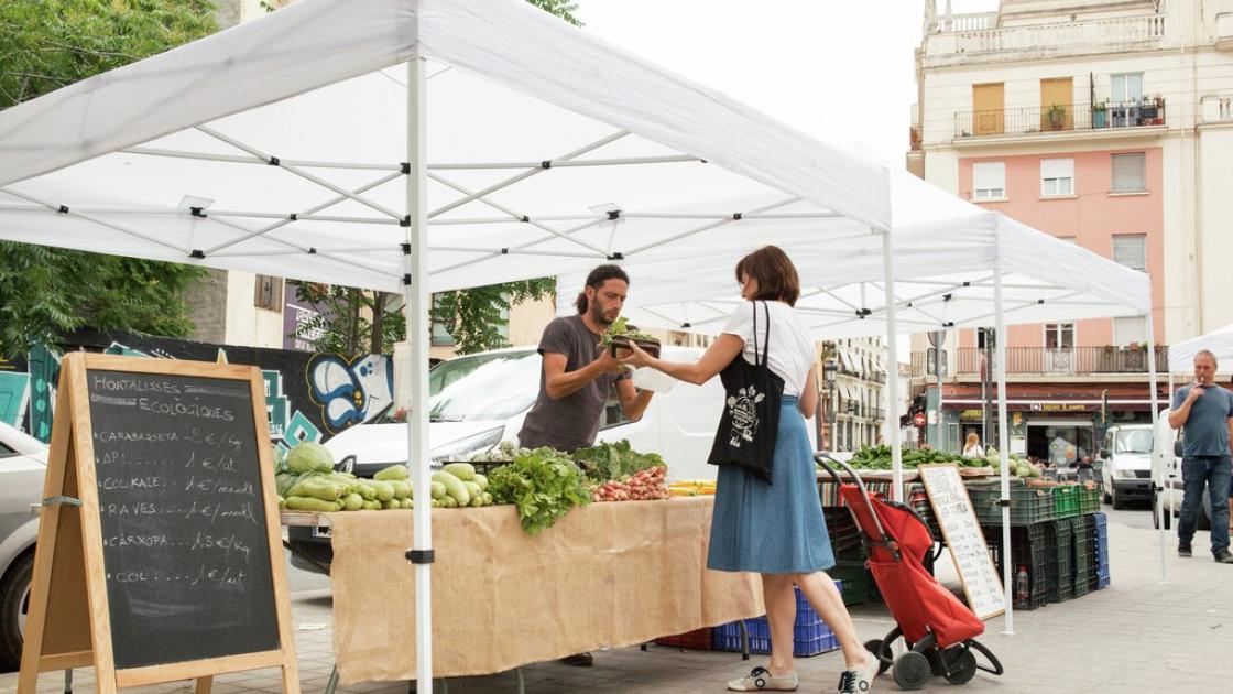 Mercado Mossen Sorell