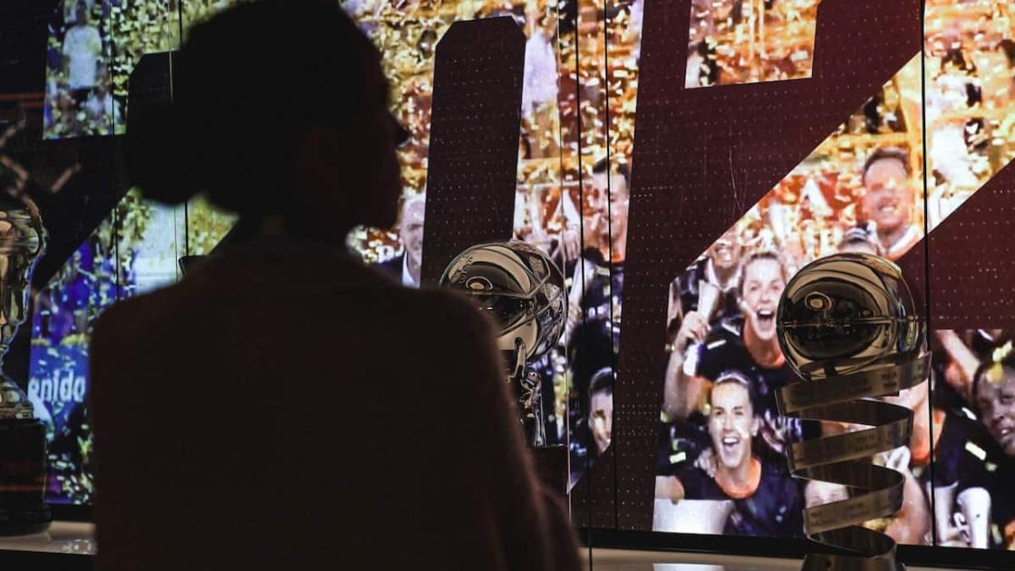 Museo & Tour del Valencia Basket en el Roig Arena