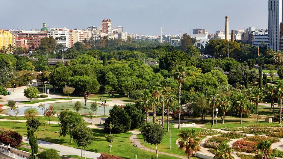 Valencia ciudad árborea