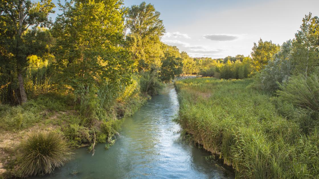 Parque fluvial Turia