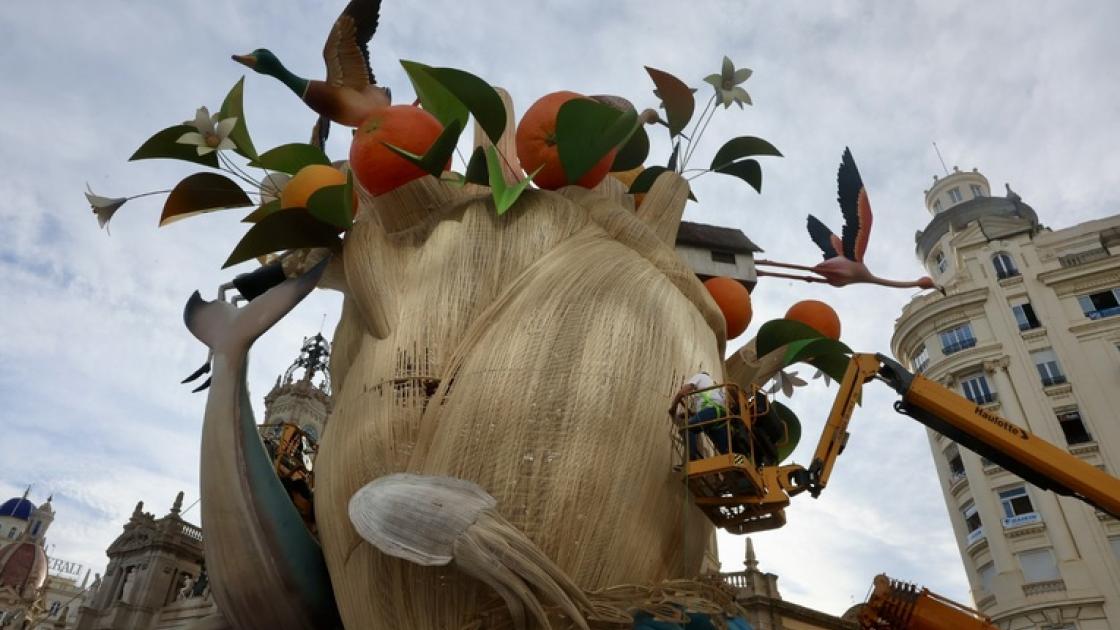 Plantà Falla