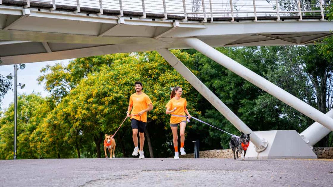 Participa en la carrera Dogfy Run Solidaria en València