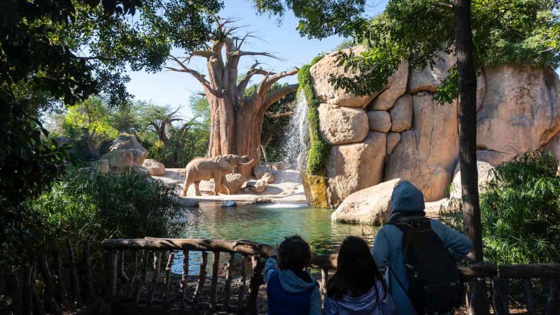 Nadal Verd en BIOPARC València