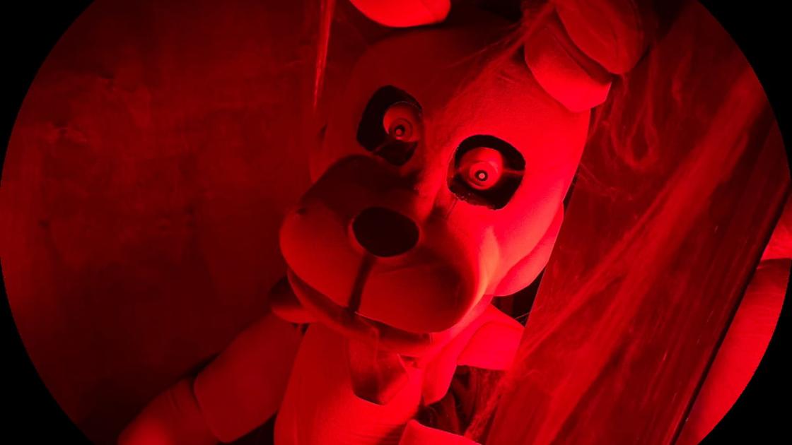 Teddys Wonderland en València