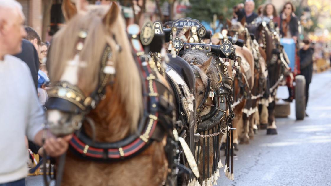 Fiestas de Sant Antoni 2024