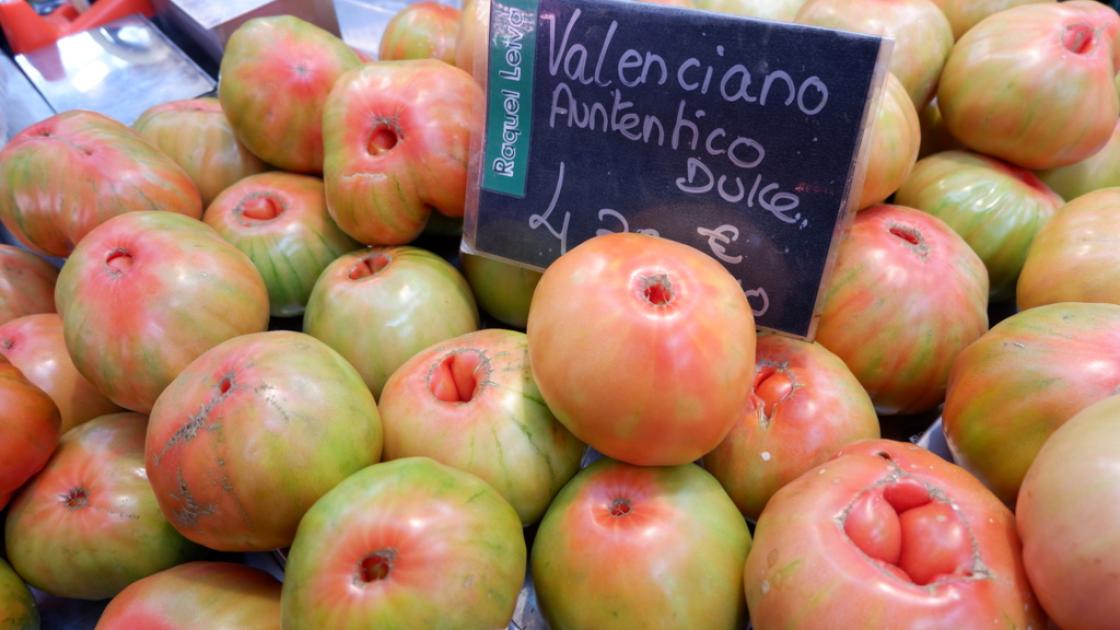 Tomate valenciano 