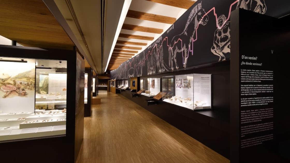 Muestra de realidad virtual «La cueva de Lascaux» 