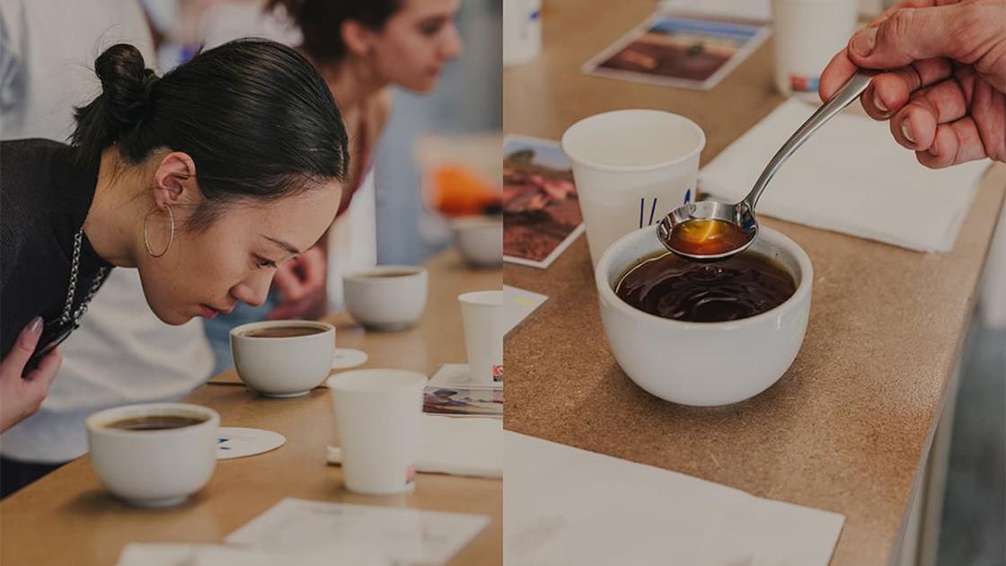Festival «Valencia is Coffee»