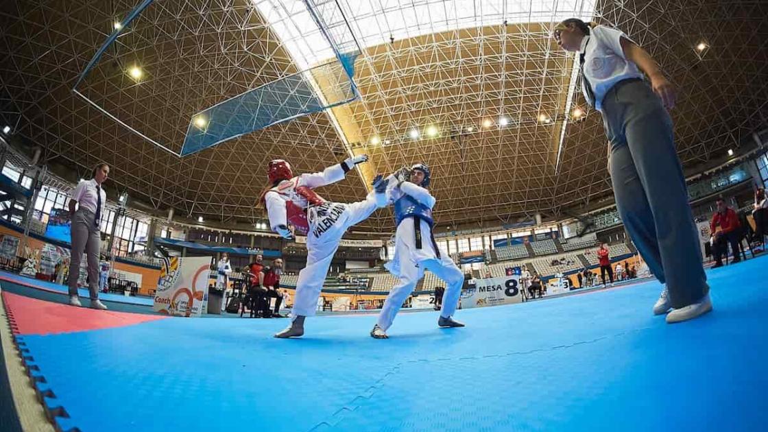 XIII Open Internacional de Taekwondo en València 