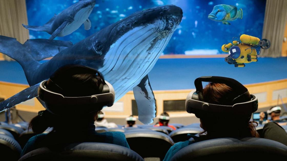 Experiencia «INMERSIÓN» en el Oceanogràfic de València