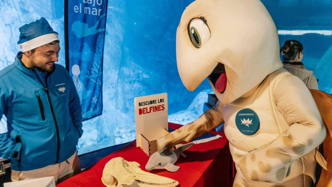 «Navidad bajo el mar» en el Oceanogràfic de València