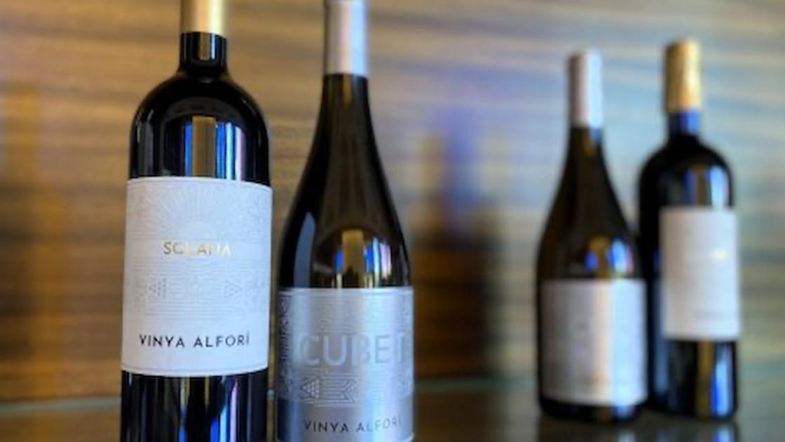 Cata de vinos en el Casino Cirsa de València