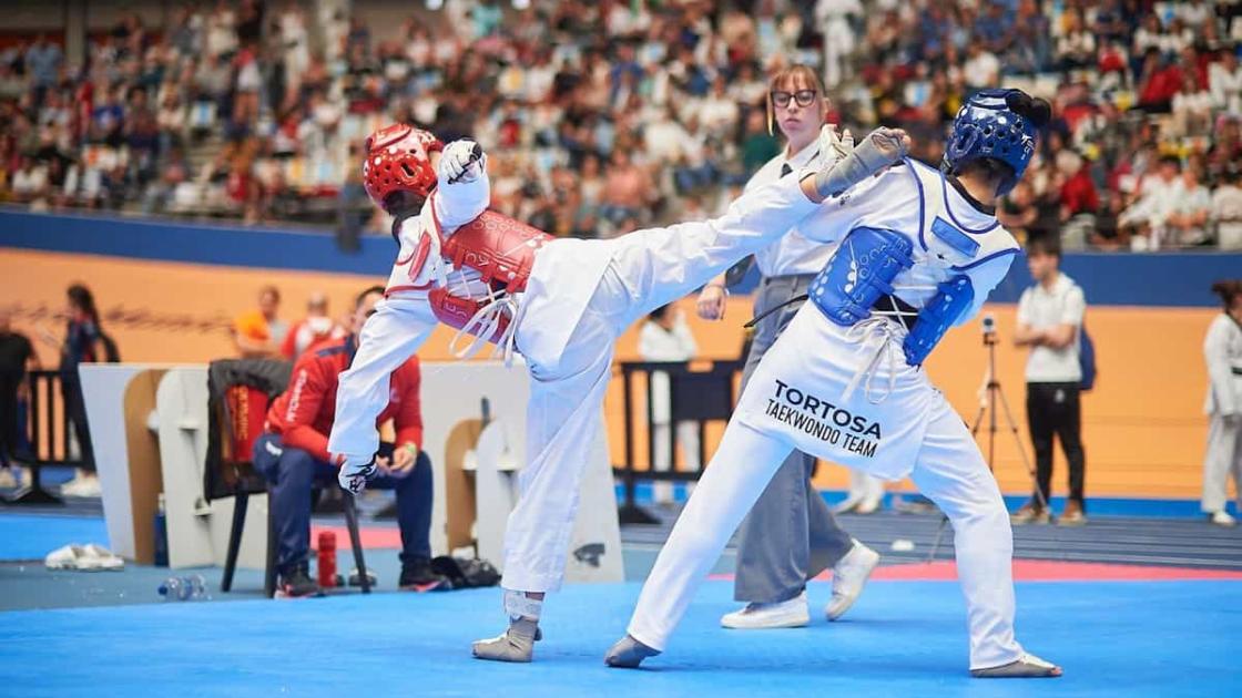 XIII Open Internacional de Taekwondo en València 