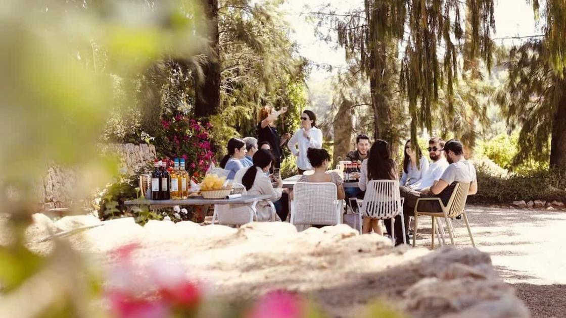 Taller de vermouth y visita guiada a Huerto Ribera en València