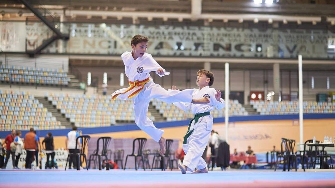 XIII Open Internacional de Taekwondo en València 