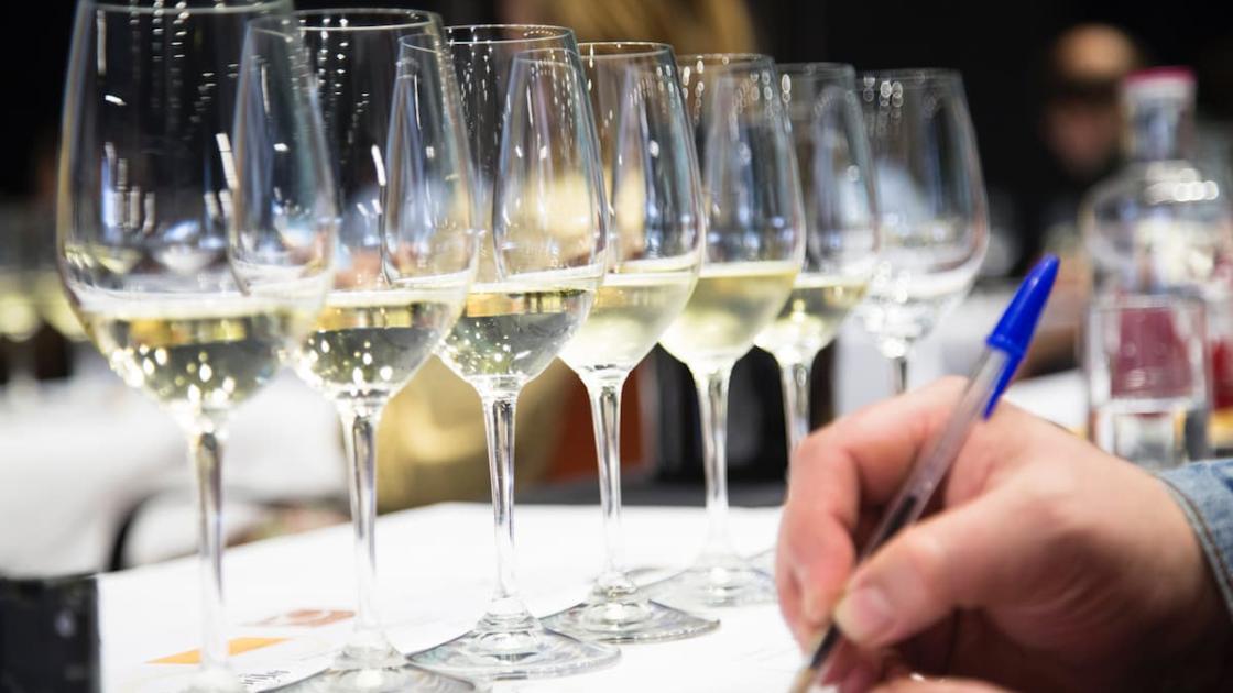 Experiencia Verema: el gran encuentro del vino en València