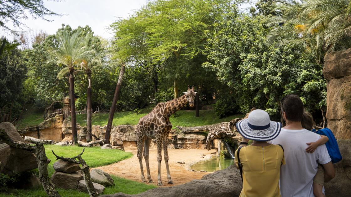 Familia en Bioparc Valencia