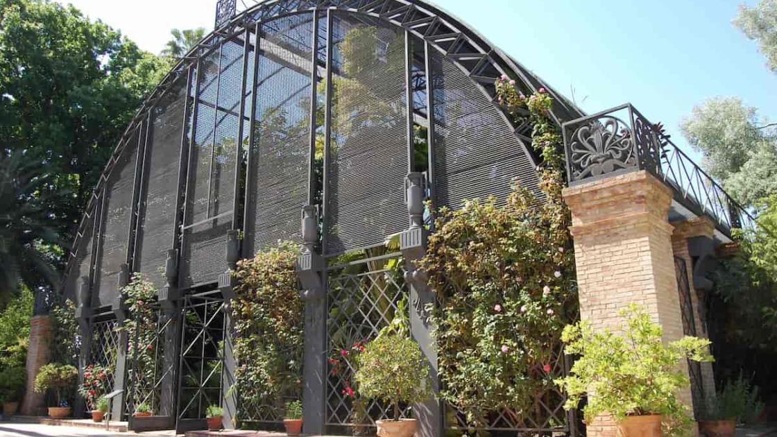 Visitas guiadas por el Jardín Botánico de València