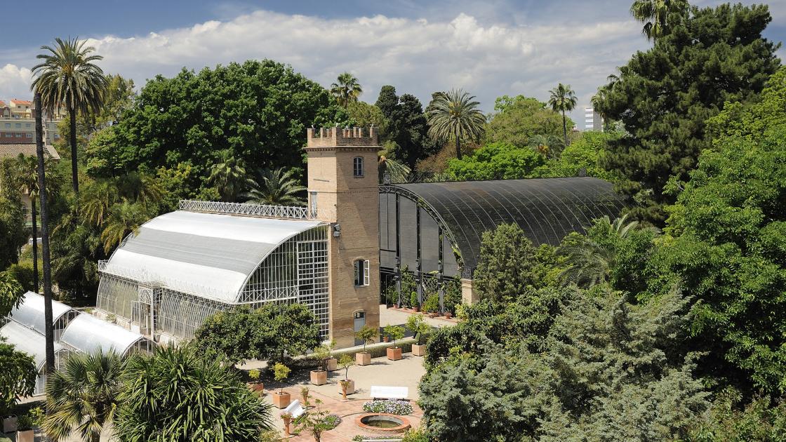 Visitas guiadas por el Jardín Botánico de València