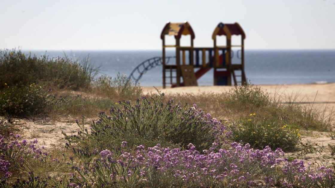 Playa de la Devesa
