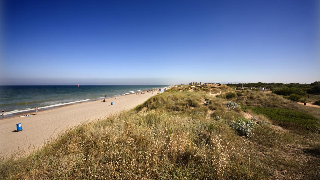 Playa de la Garrofera