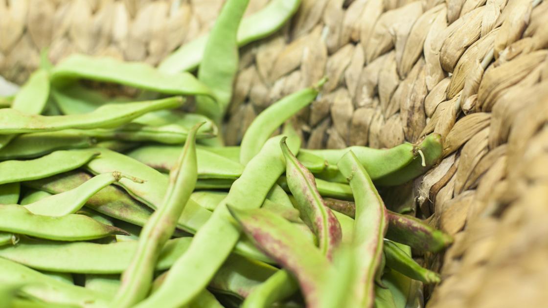 verduras